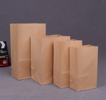 Craft Paper Take-Away Food Bag