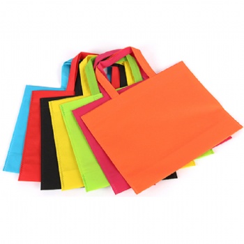 Eco-Friendly Promotional Shopping Non Woven Bag